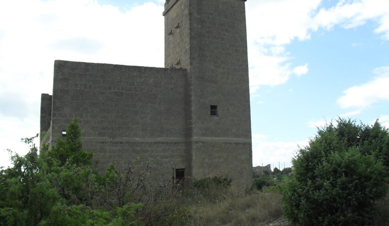 SDC10635