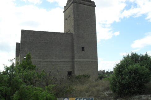 SDC10635