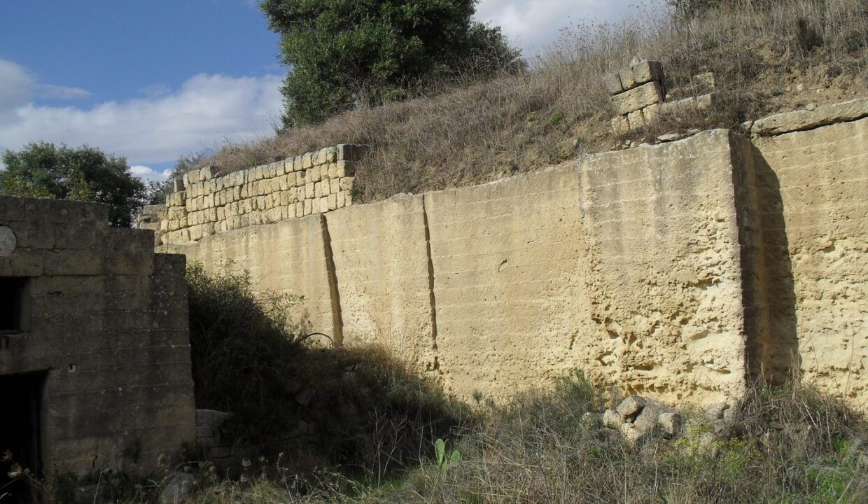 SDC10651