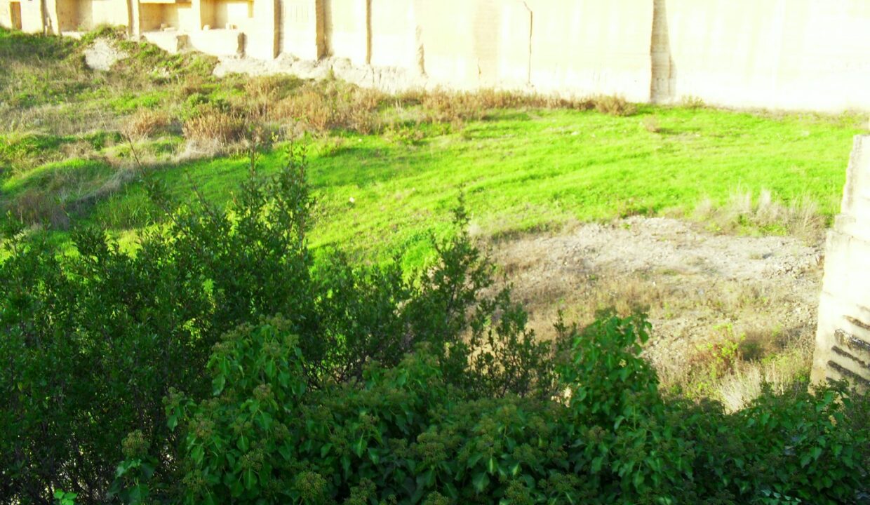 SDC10716