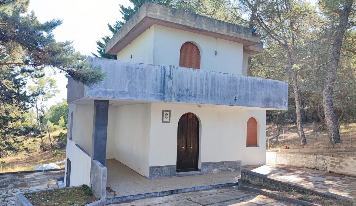 1 - Copia