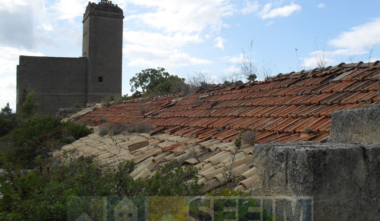 SDC10639 (Copia)