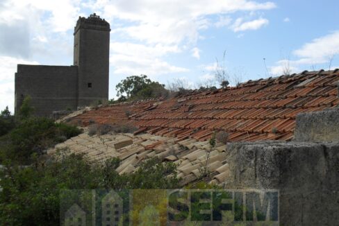 SDC10639 (Copia)