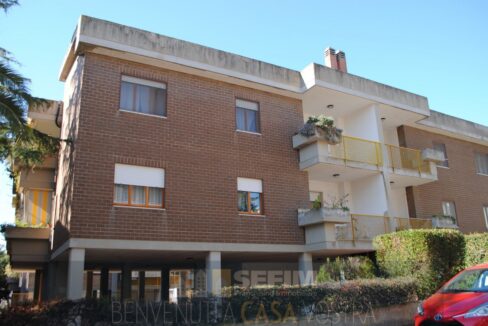 6 (Copia)