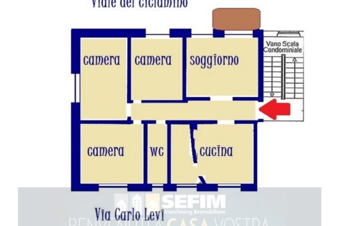 15 (Copia)