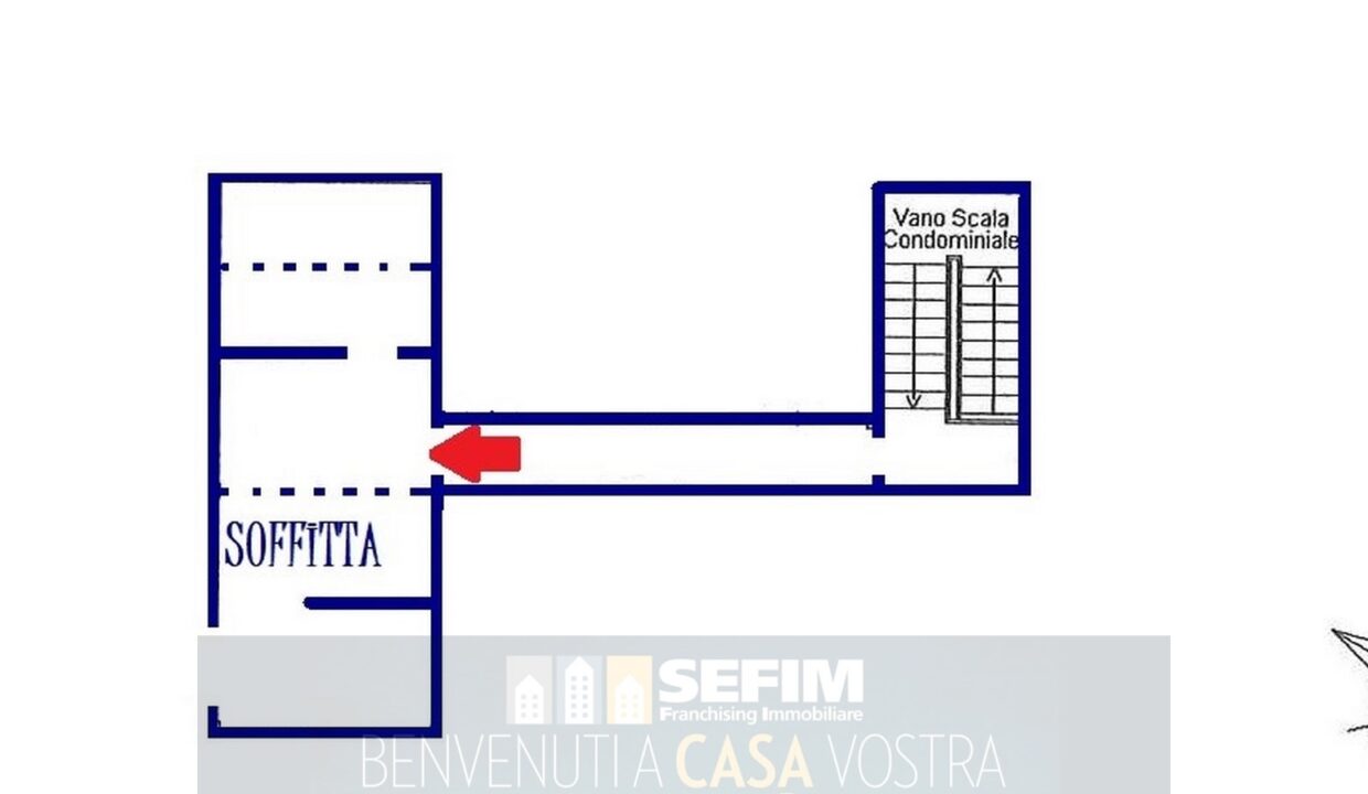 16 (Copia)