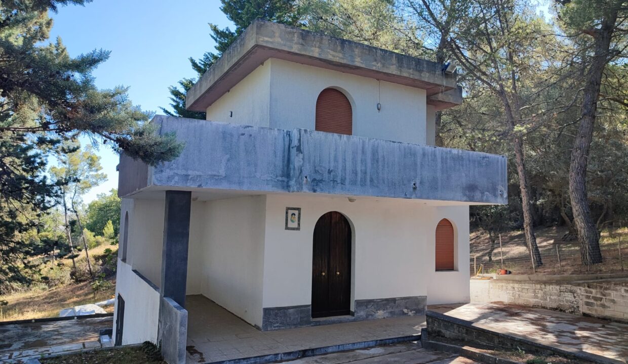 2 - Copia