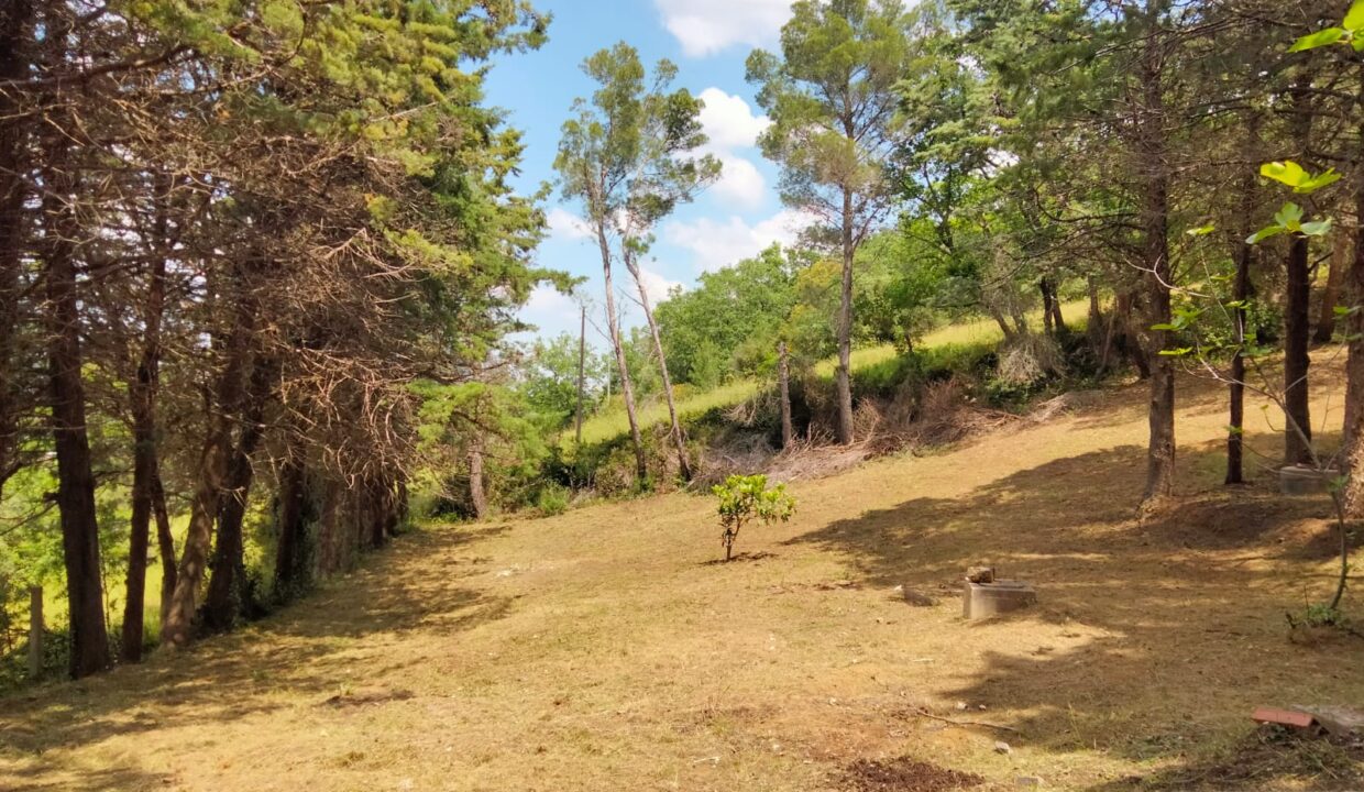 IMG-20230522-WA0023