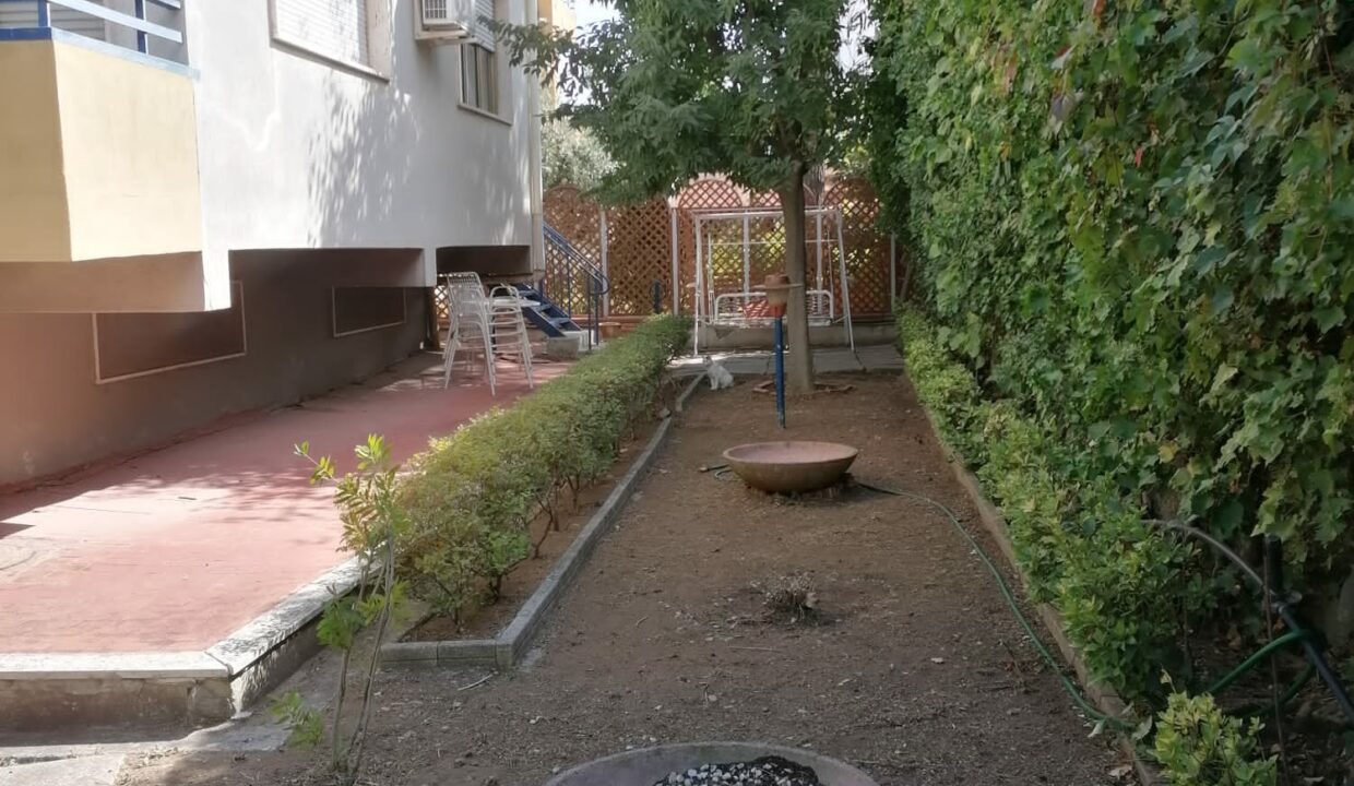 p - Copia (2)