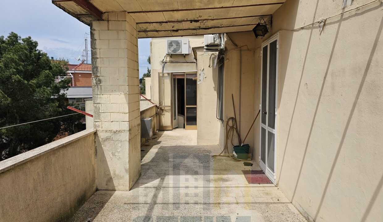 20250423_120744 (Copia)