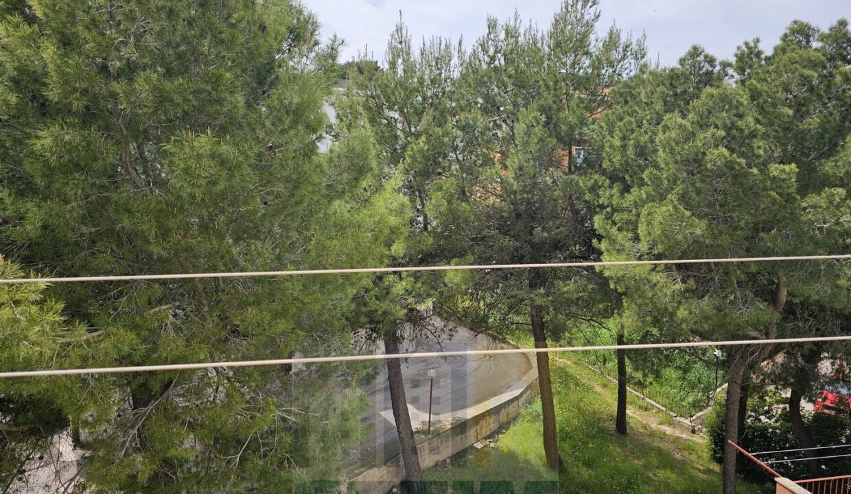 20250423_120800 (Copia)