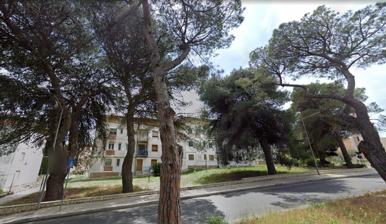 Immagine 2024-11-06 162848 (1)