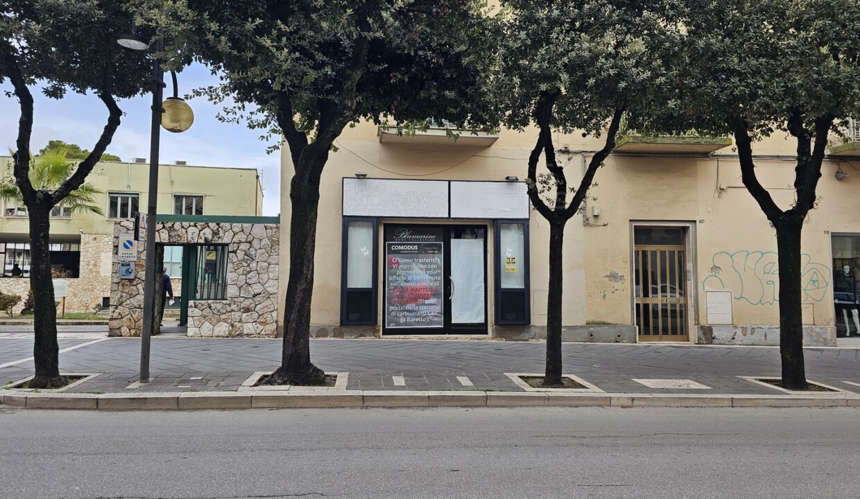 1 (Copia)