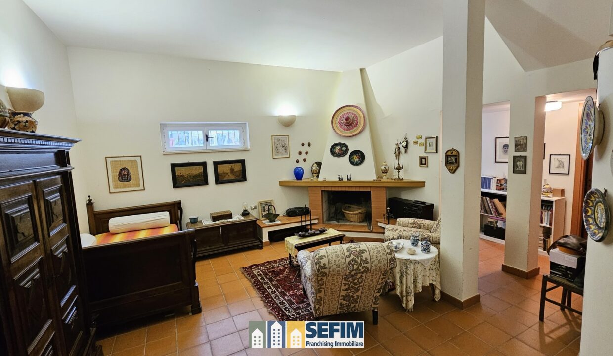 20241121_122829 (Copia)