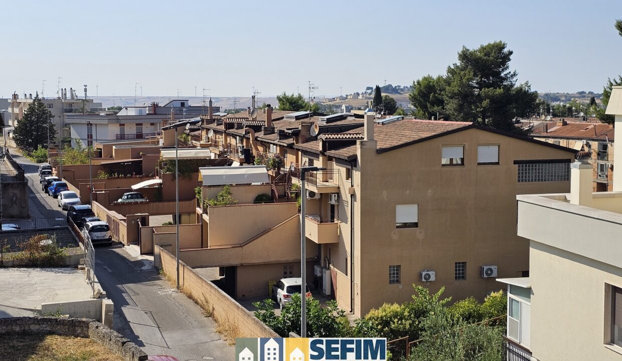 20250625_164535 (Copia)
