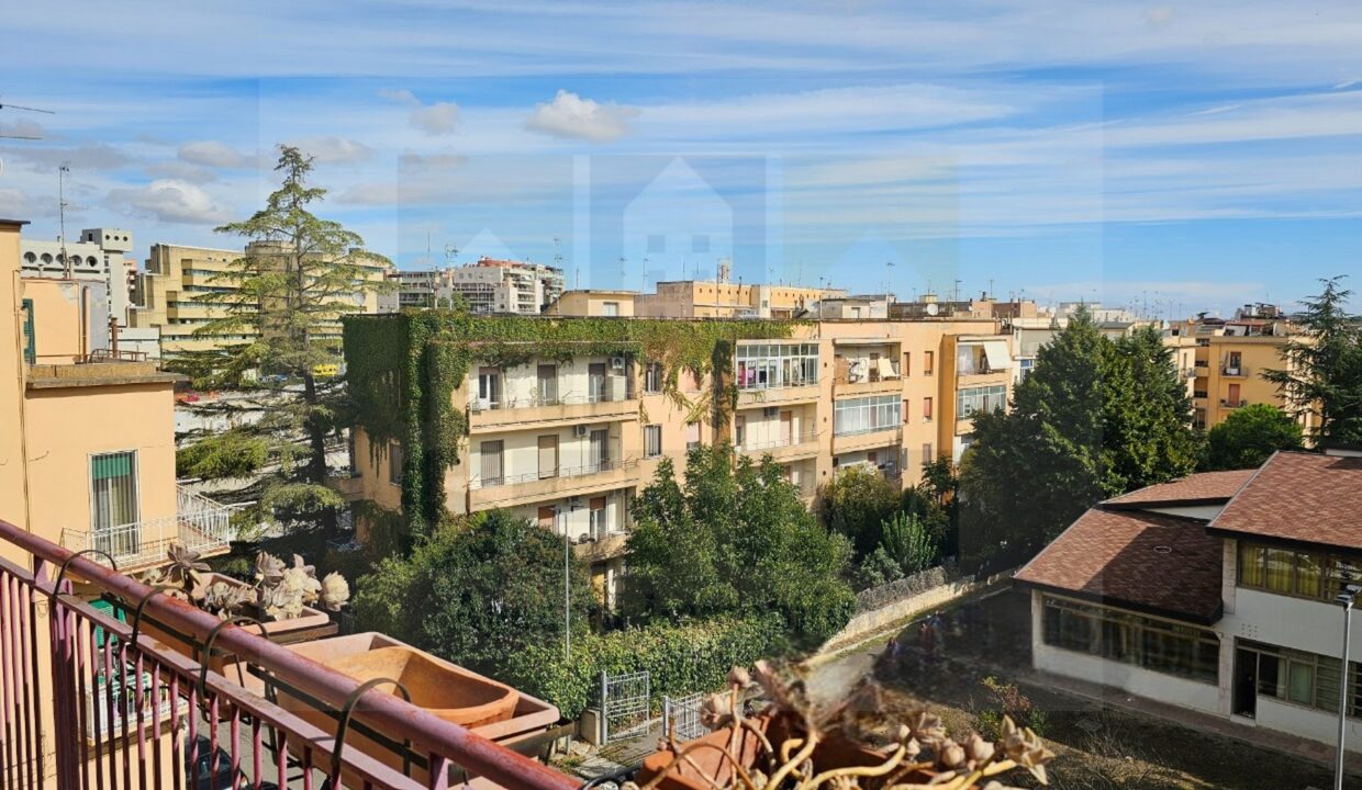 20240918_101256-Photoroom (1) (Copia)