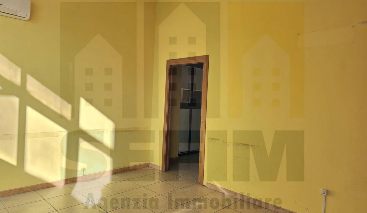 7 (Copia)